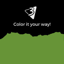 Green and Black Pillows - Living Room