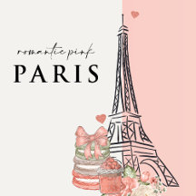 Romantic Pink Paris Theme