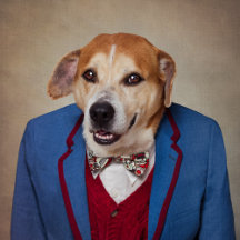 Shelter Pets Project - Choppers