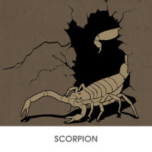 Scorpion