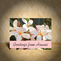 Hawaii Flowers