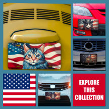 The License Plate Collection