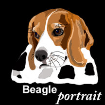 Beagle Portrait