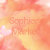 Sophies Market