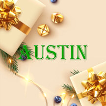 Austin Name T-Shirt