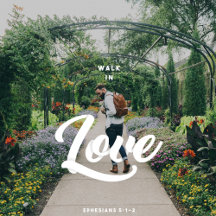 >> Valentine's 2018--->