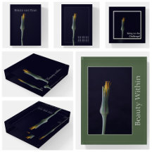 Custom Modern Wildflower Paperweights