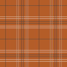 Burnt Orange Plaid Longhorn Baby