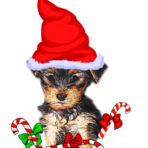 Cartes Pour Fêtes Annuelles Yorkshire Terrier Noël
