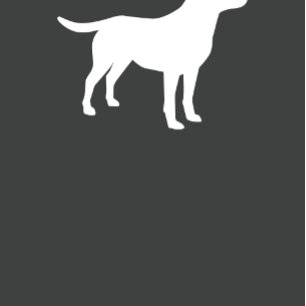 Invitation Labrador Baby shower Laboratoire neutre pour les f