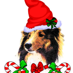 Niedliches Sheltie Sankt Weihnachten