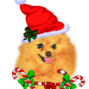 Niedlicher Spitz Weihnachten
