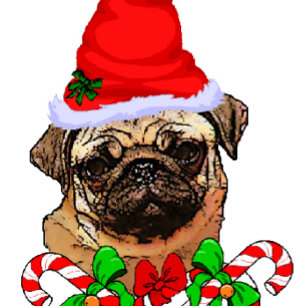 Mops Liebhaber Weihnachtsgeschenke Feiertagskarte