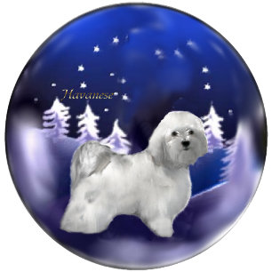 Havanese Weihnachtsgeschenke Feiertagskarte