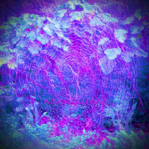 Orb Weaver (Orange)/Cry Here Lila, Leggings