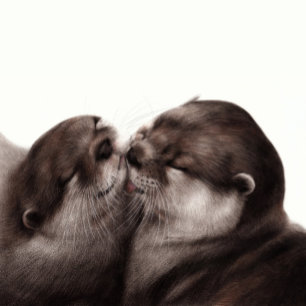 Sticker Loutres peintes à la main - Tender Moment Faune Ar