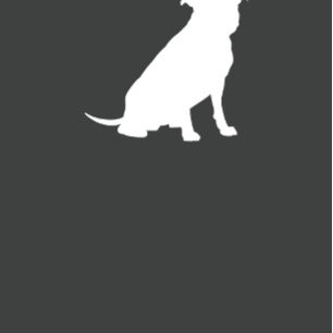 Invitation Baby shower Pit Bull Pitbull neutre pour le genre