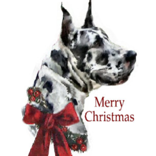 Harlequin Great Dane Weihnachtsgeschenk Feiertagskarte