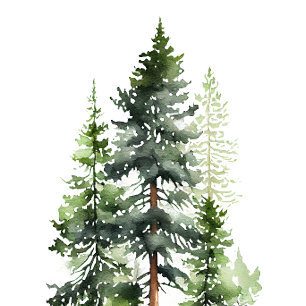 Invitation Forêt forestière Pins verts Mariage moderne