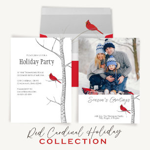 Foto der Jahreszeit Roter Kardinal Weihnachten