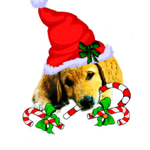 Niedlich Golden Retriever Welpen Weihnachten