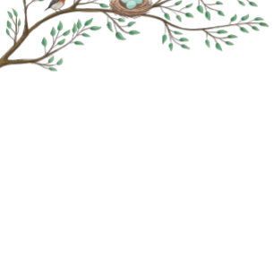 Robin Bird Spring Baby Shower Co-Ed Gender Neutral Einladung