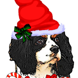 Cavalier King Charles Spaniel Weihnachten