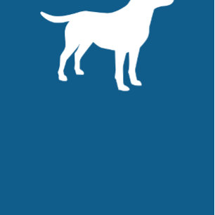 Invitation Labrador Chien Baby shower Blue Boy Lab