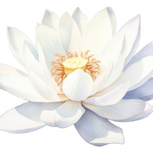 WELLNESS-CENTER Birthday Party Einladung