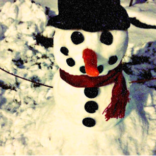 Northern Lights & Meters Winterscape Feriencard Feiertagskarte