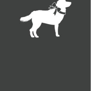 Siberian Husky Dog Baby Shower Blue Boy Einladung