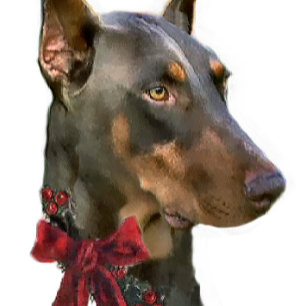 Dobermannpinscher-Weihnachten Feiertagskarte