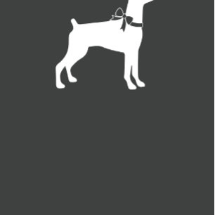 Doberman Pinscher Dog Babydusche Pink Girl Einladung