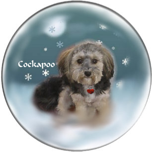 Cockapoo Weihnachtsgeschenke Feiertagskarte