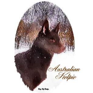 Pour Fêtes Annuelles Cartes de Noël Kelpie australienne cadeaux