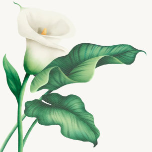 Invitation Elégant Baby shower Lilly Aquarelle