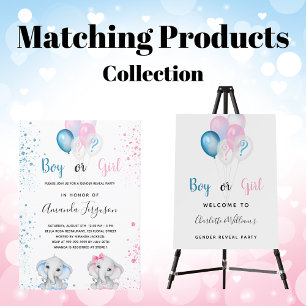 Banderoles Genre révéler garçon de la fête fille bleu rose bl