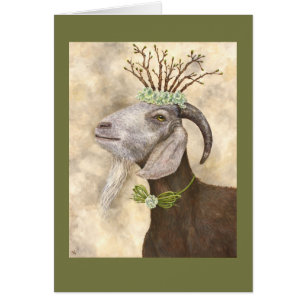 Sven, la carte de chèvre