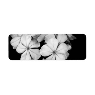 sw Postkarte