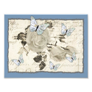 SW Rose und Schmetterlinge Fotodruck