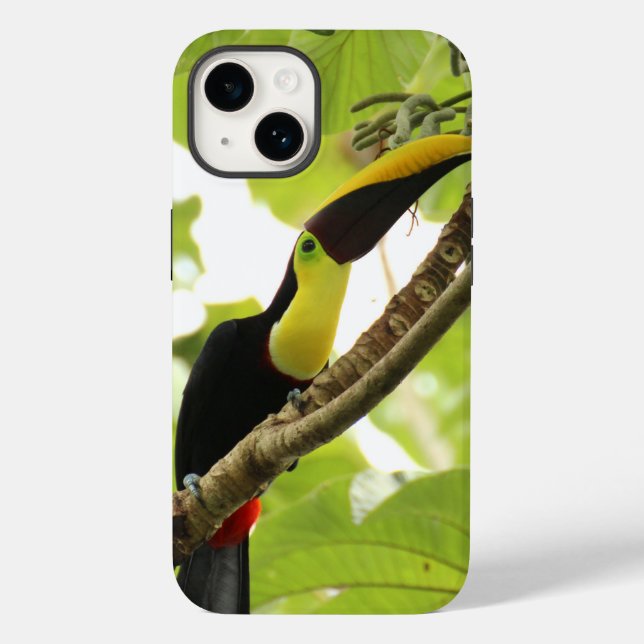 Swainson Toucan Exotic Bird Case-Mate iPhone 14 Hülle (Rückseite)