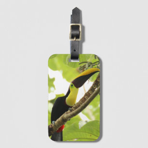 Swainson Toucan Exotic Bird Gepäckanhänger