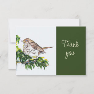 Swainsons Drossel Vogel Natur AquarellDanke Dankeskarte