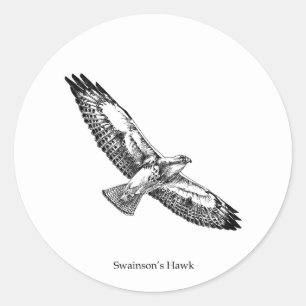Swainsons Falke-Logo (betitelt) Runder Aufkleber