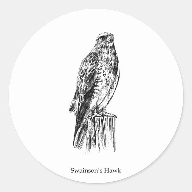 Swainsons Hawk-Logo (gekrönt) Runder Aufkleber (Vorderseite)