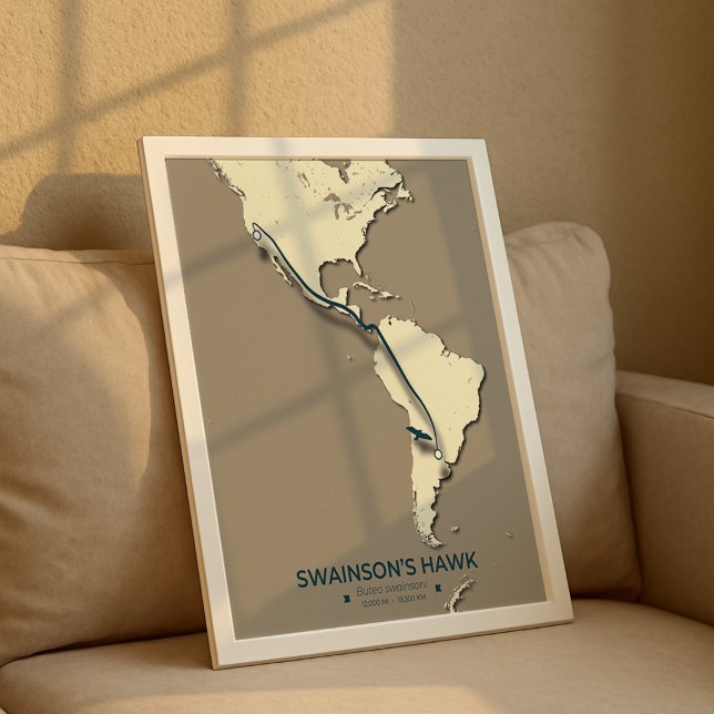 Swainsons "Hawk Migration Map" - Minimalistisch Vi Poster (Von Creator hochgeladen)