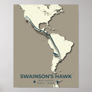 Swainsons "Hawk Migration Map" - Minimalistisch Vi Poster