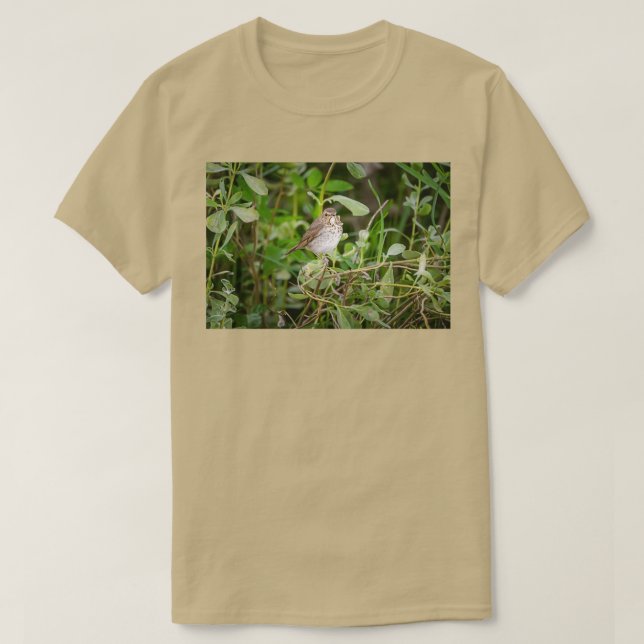 Swainsons Thrush T-Shirt (Design vorne)