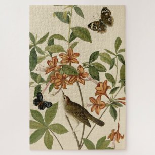 Swainson's Warbler von Audubons Vögeln von Amerika