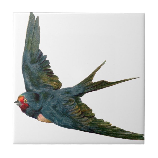 Swallow Fliese (Vorderseite)